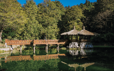 阿里山國家森林遊樂區