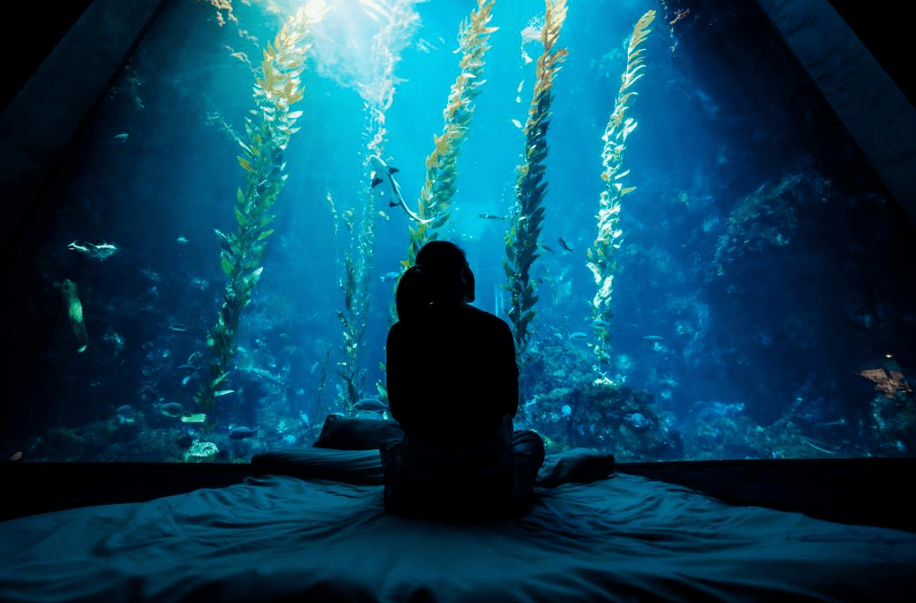 國立海洋生物博物館