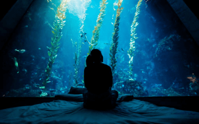 國立海洋生物博物館