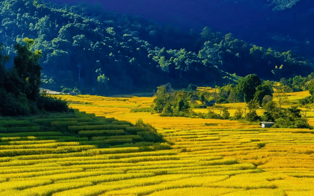 清邁